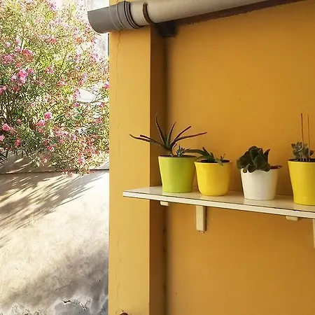 Silvio E Miria House